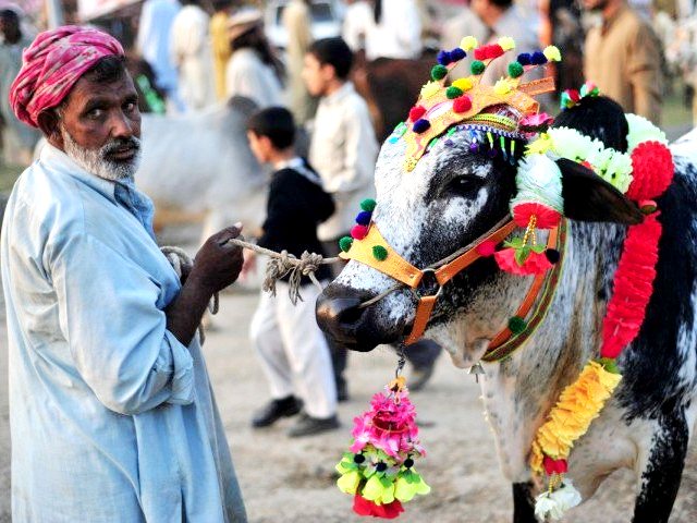 13 Things That Happen At A Pakistani Bakra Mandi