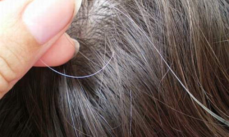 10 Reasons For Early Grey Hair