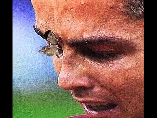 14 Tweets About The Moth On Ronaldo’s Face Proves The Internet Is Insane