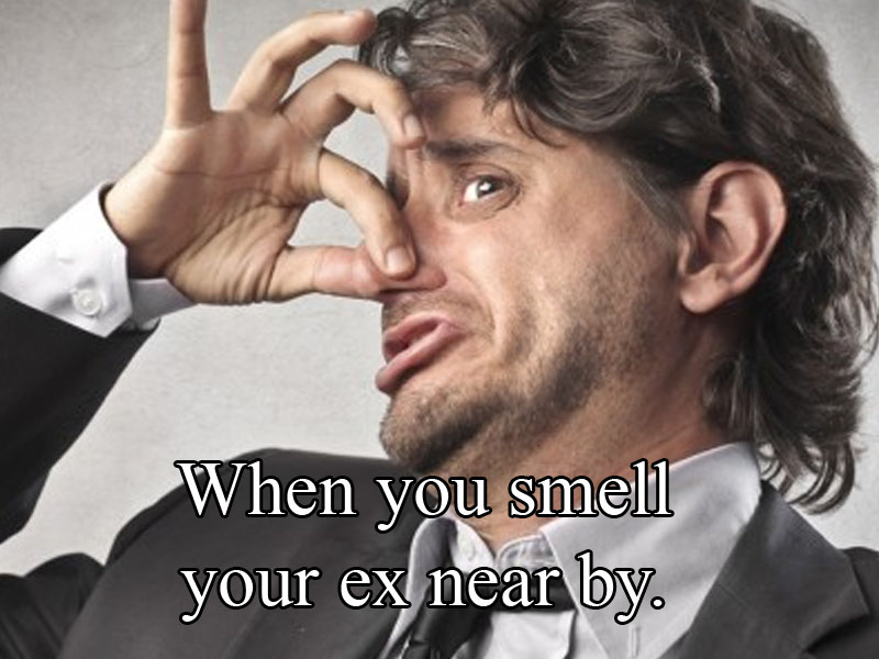 smell